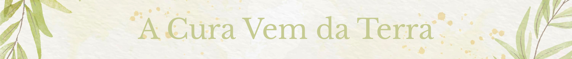 Meraki 1