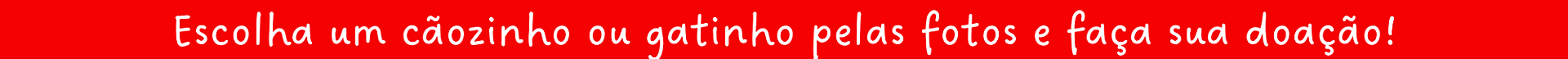 Faça sua doação2