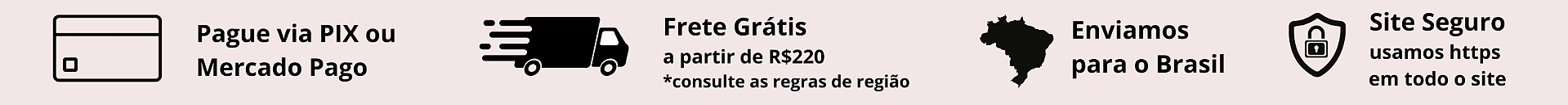 Forma de pagamento segura e entrega em todo brasil