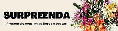 Banner de astromélias