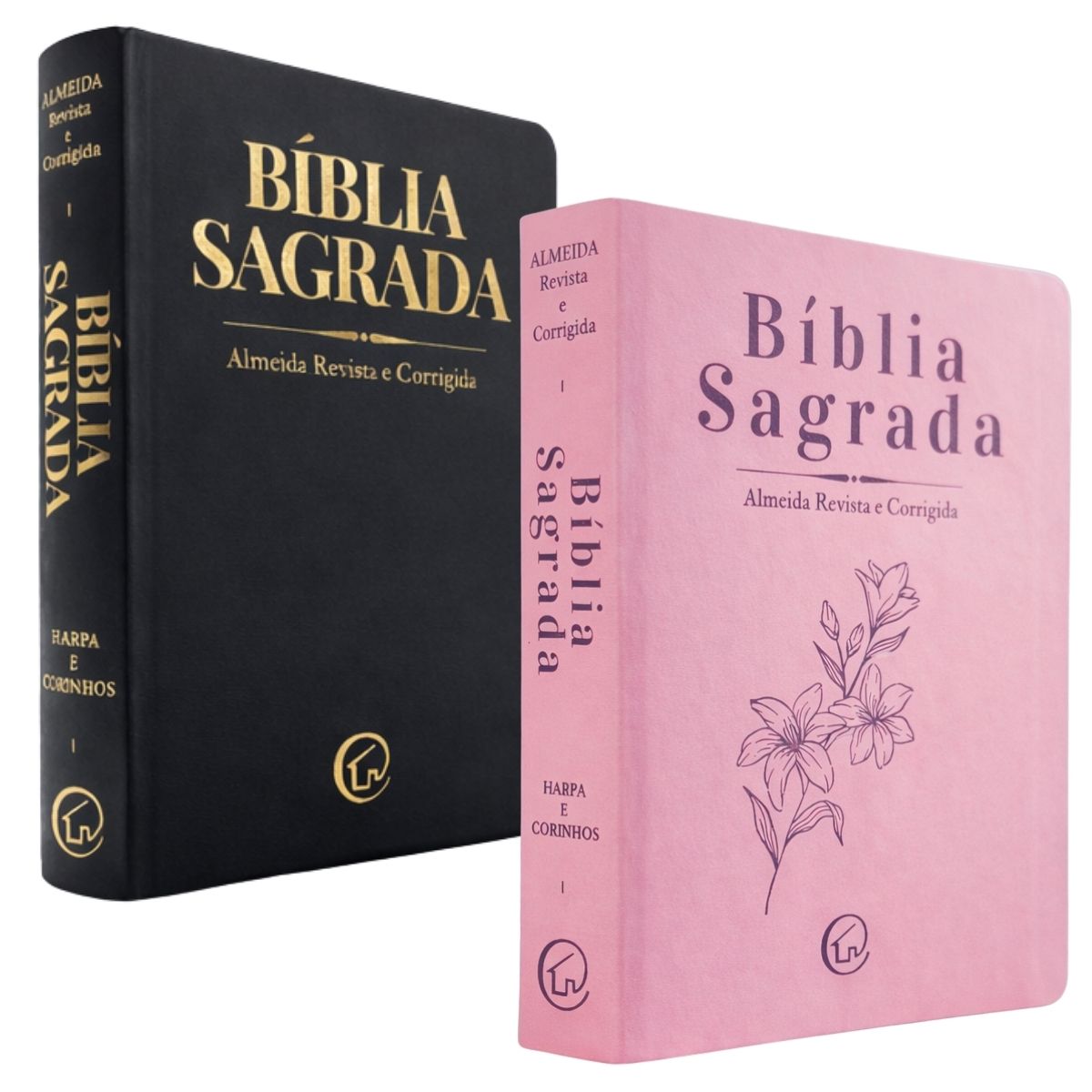 slide categoria Bíblias