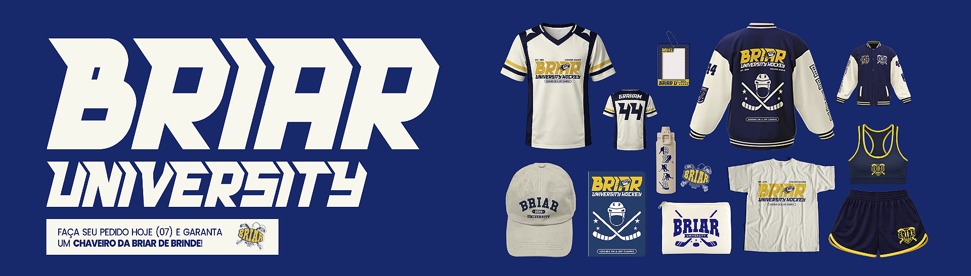 Full banner desktop Briar