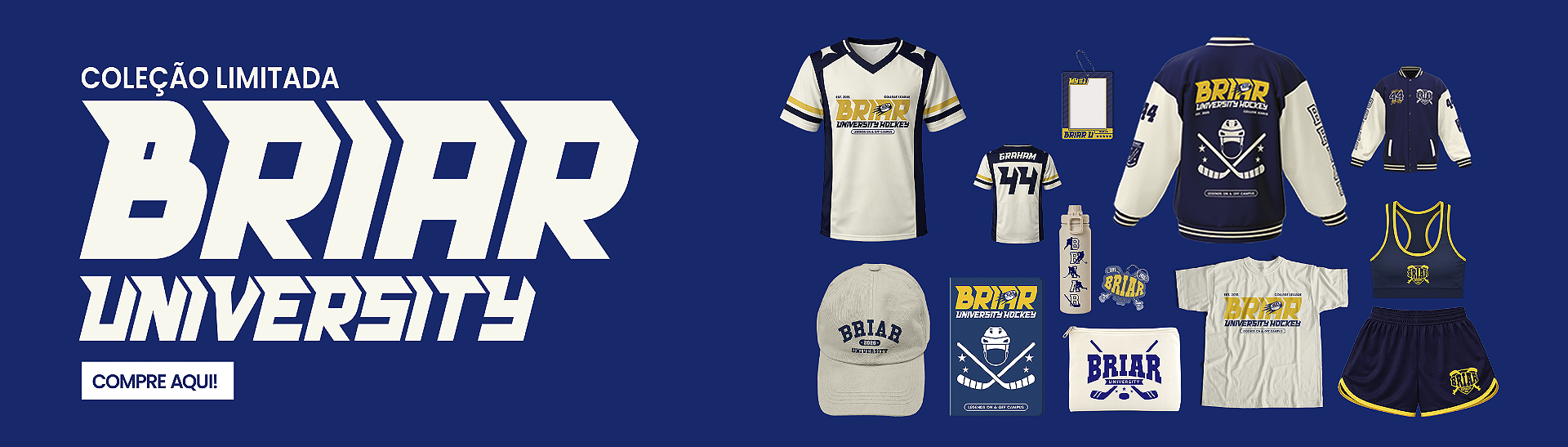 Full banner desktop Briar