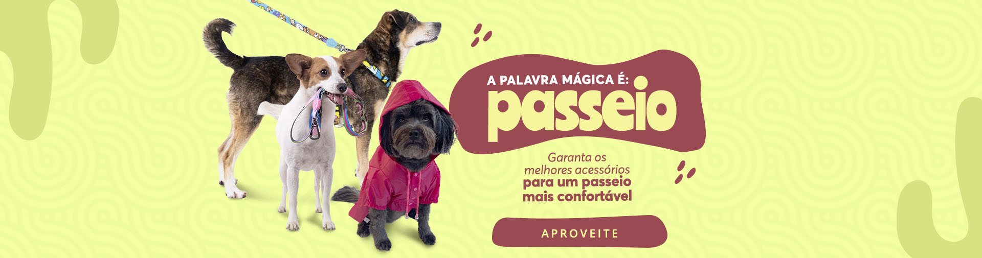 Passeio 1