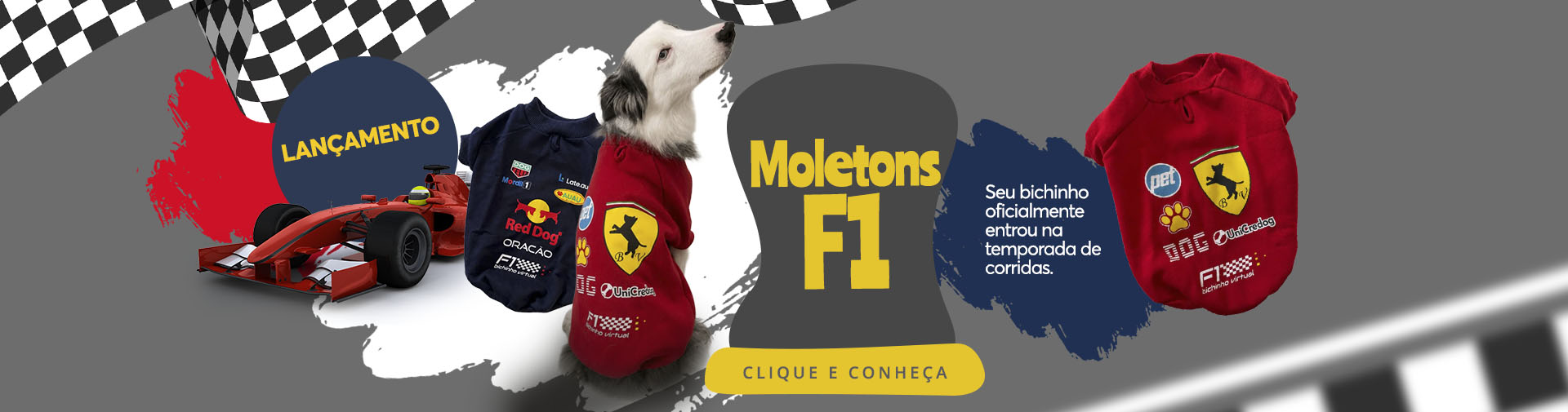 Moletom F1