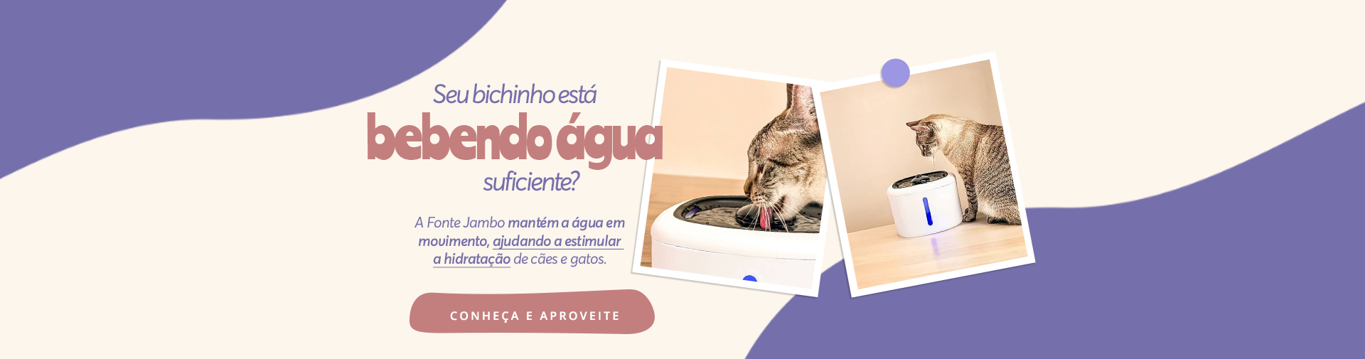 Fonte de água