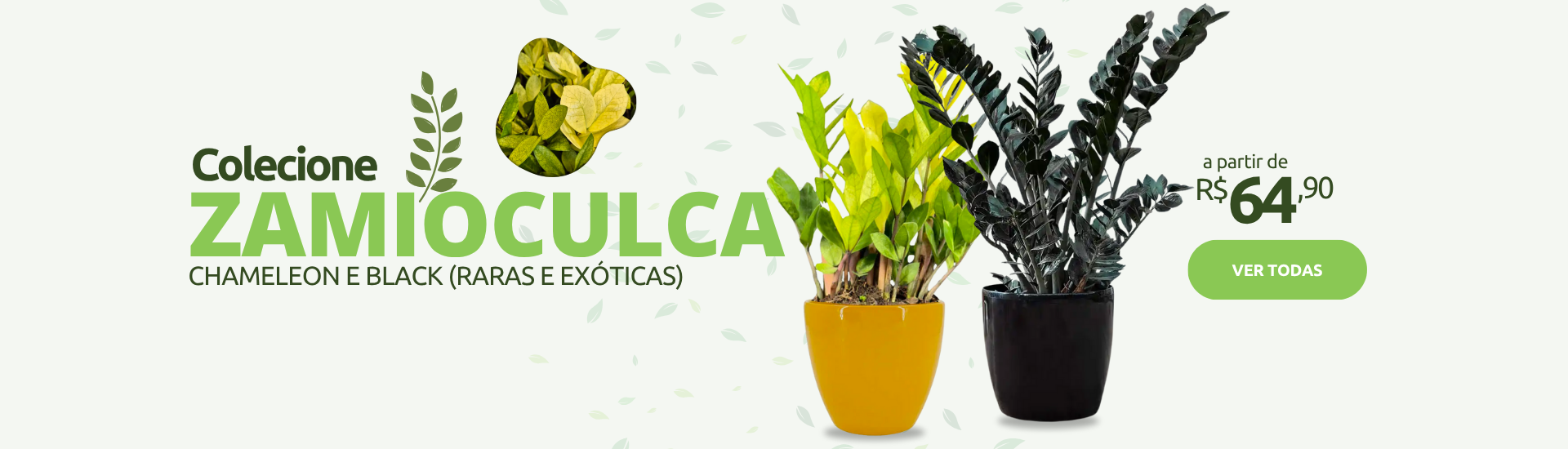 Black e Chameleon