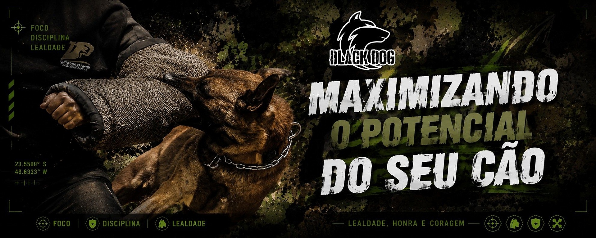 Maximizando o potêncial