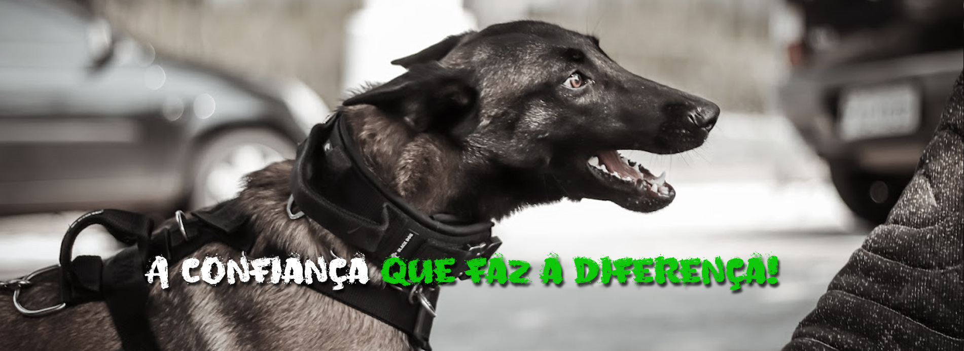Confiança