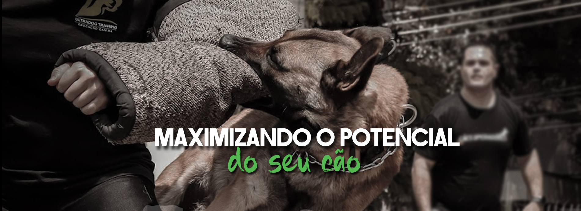 Maximizando o potêncial