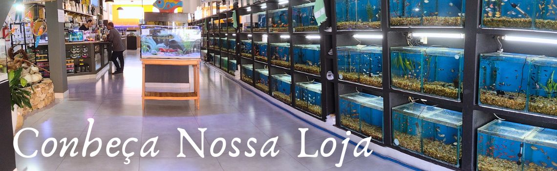 Conheça nossa loja