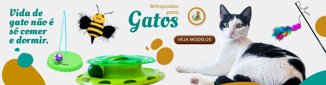 gatos