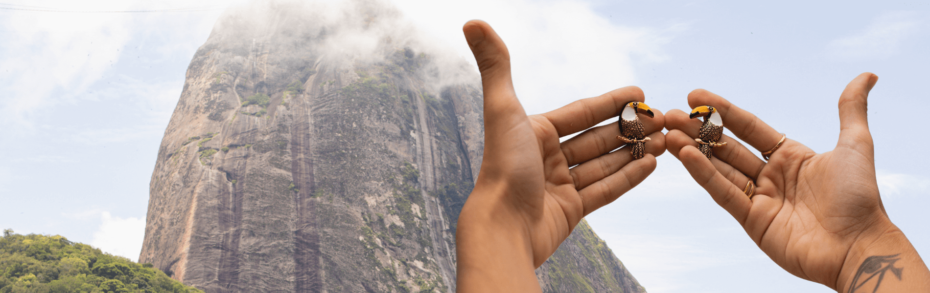 Banner - Tucano Tropical