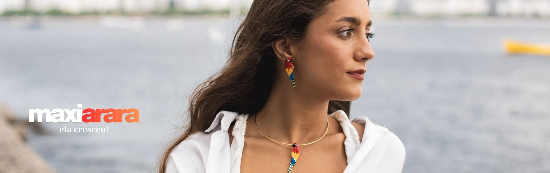 Banner - Maxiarara