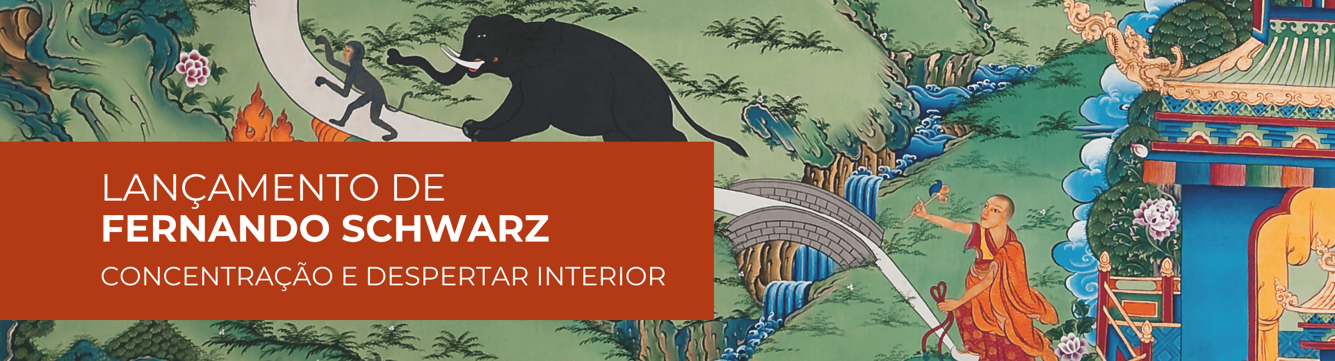 Concentração e despertar interior
