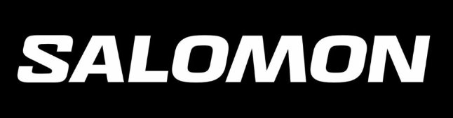 Logo Salomon