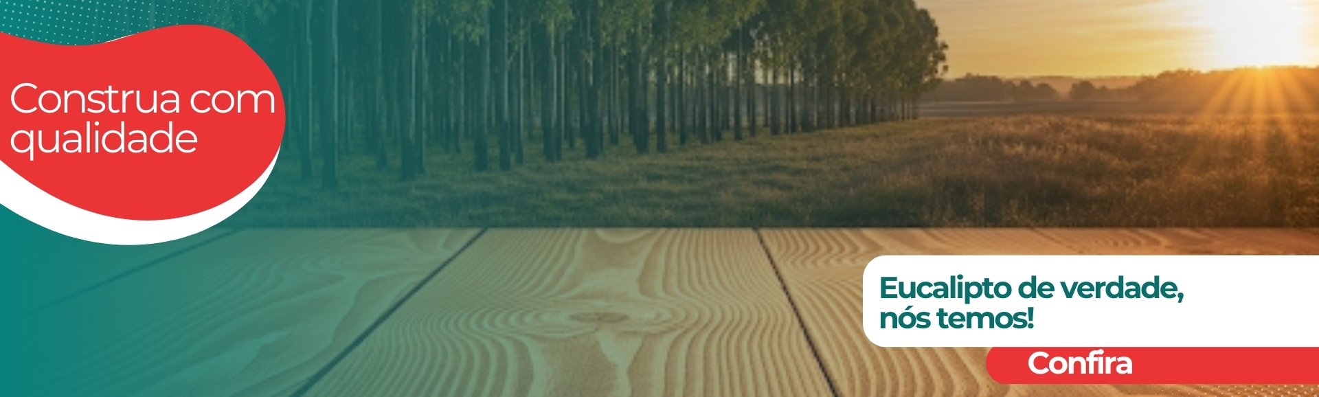 banner_eucalipto