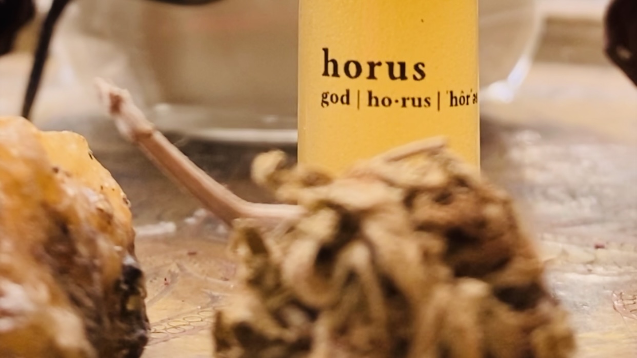 Horus