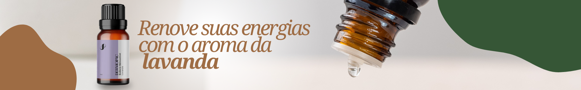 Fullbanner Principal