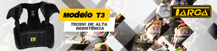 T3