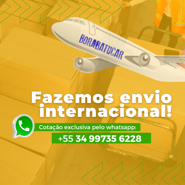 envio-internacional mobile