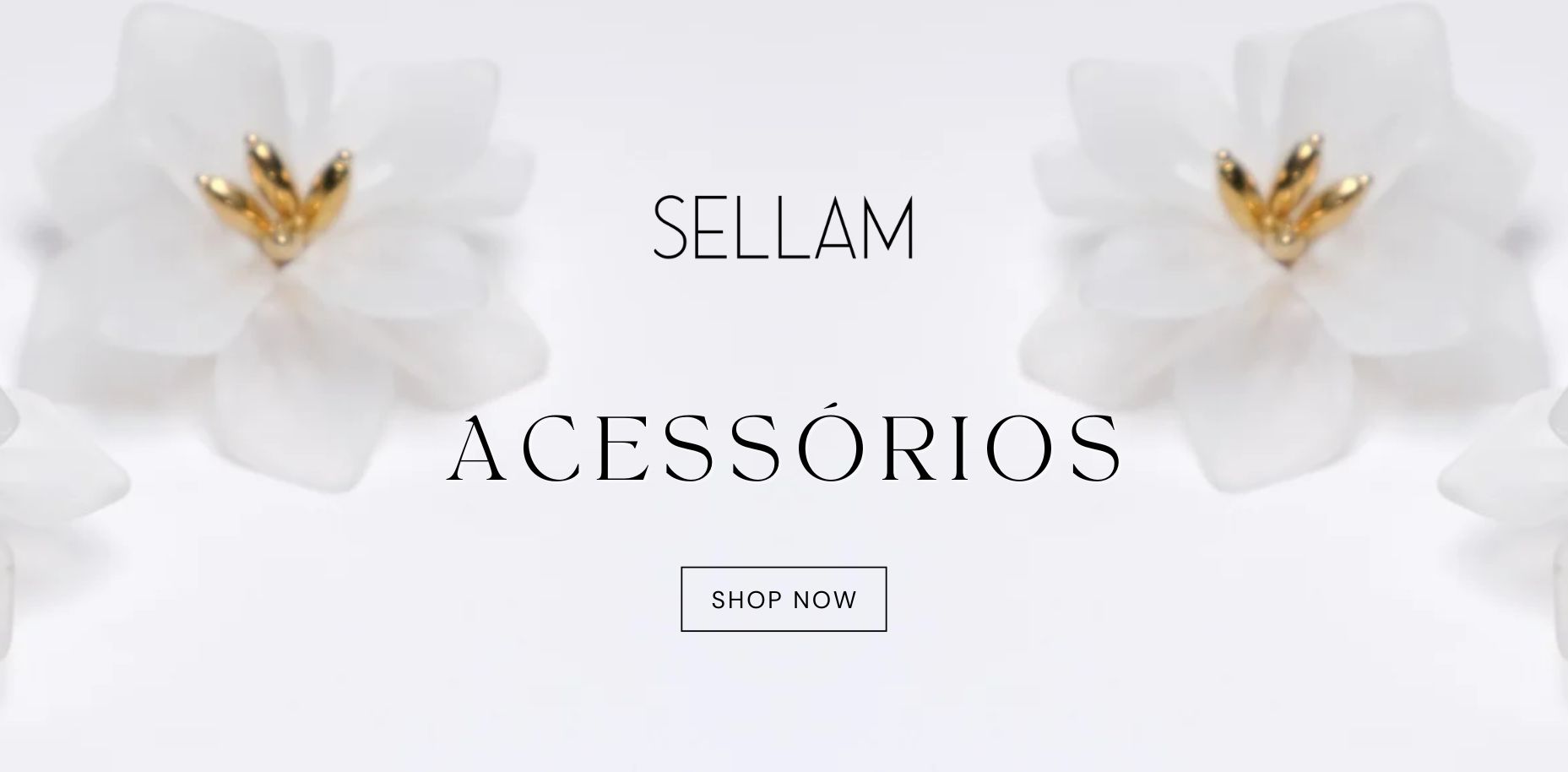 Acessorios