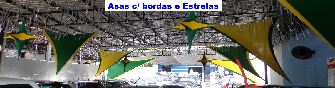 ASAS C. BORDAS E ESTRELAS