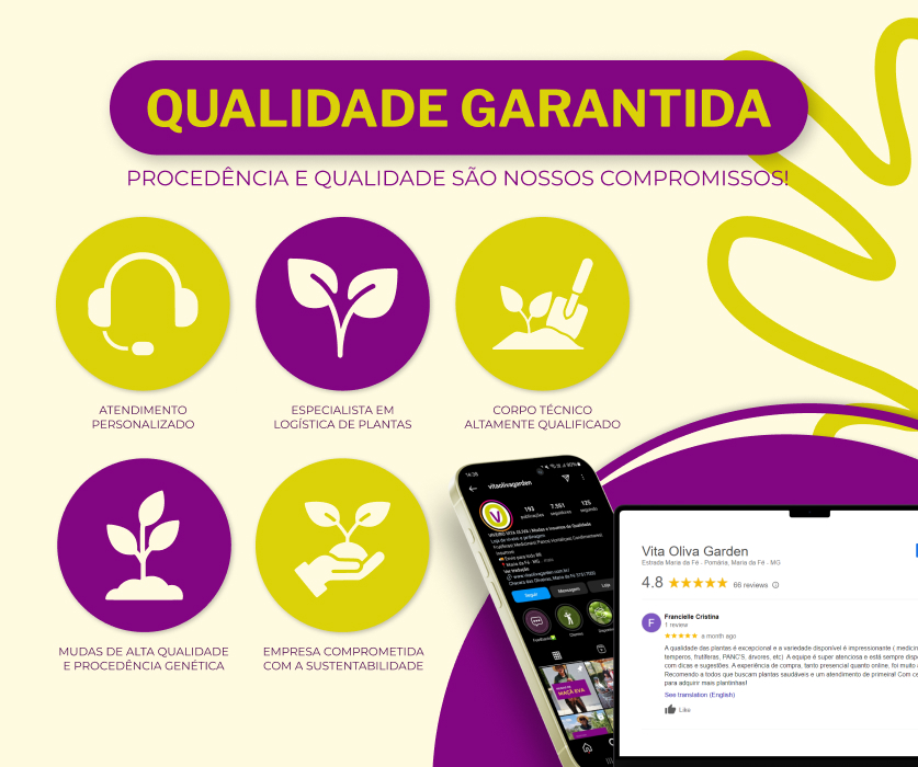 Fullbanner 01 mobile