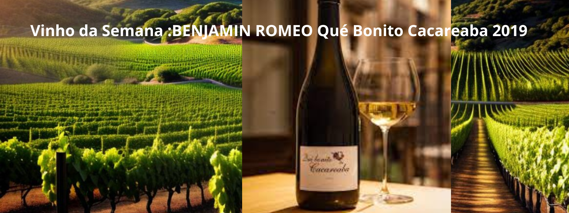 BENJAMIN ROMEO/BODEGA CONTADOR