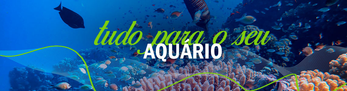 barbusfish-banner-home-1