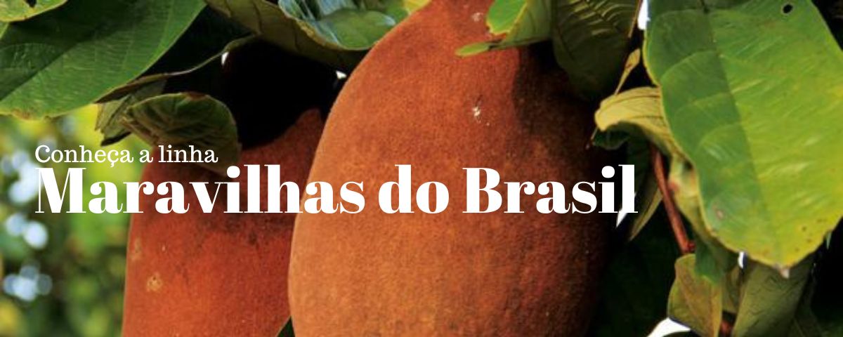 MARAVILHAS DO BRASIL