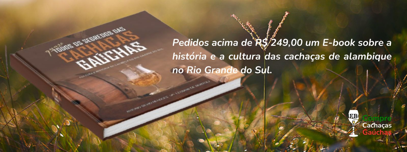 promo 299,00