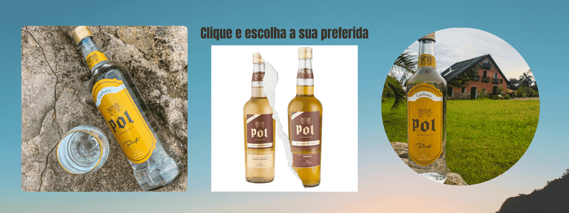 Pol
