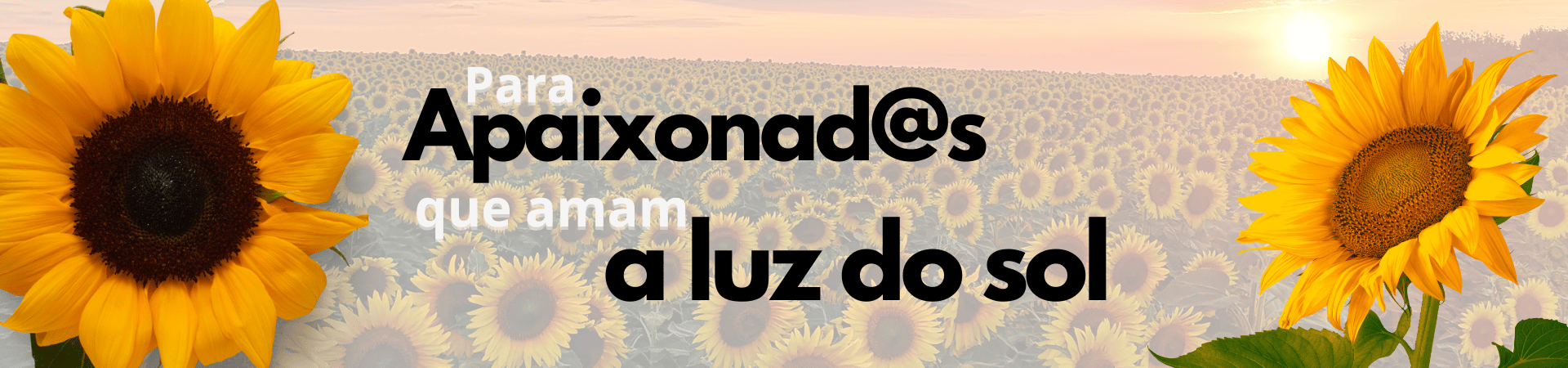 apaixonados pela luz do sol