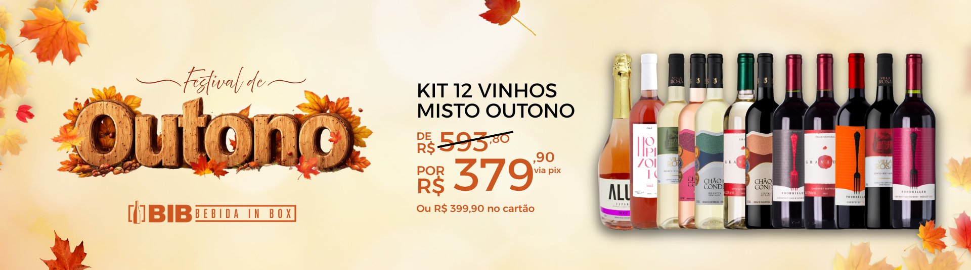 Kit 12 Vinhos Outono