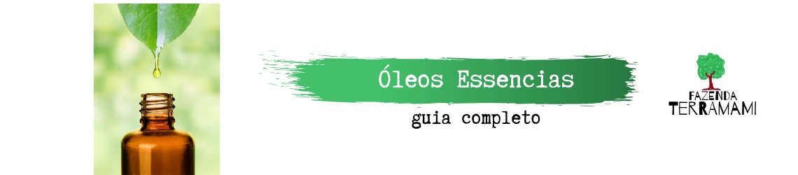Guia OE