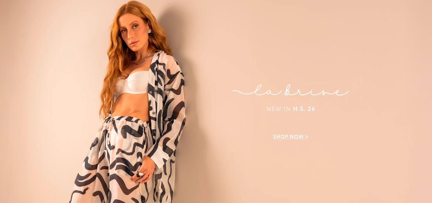 Full Banner Daniela Tombini Biquini 1