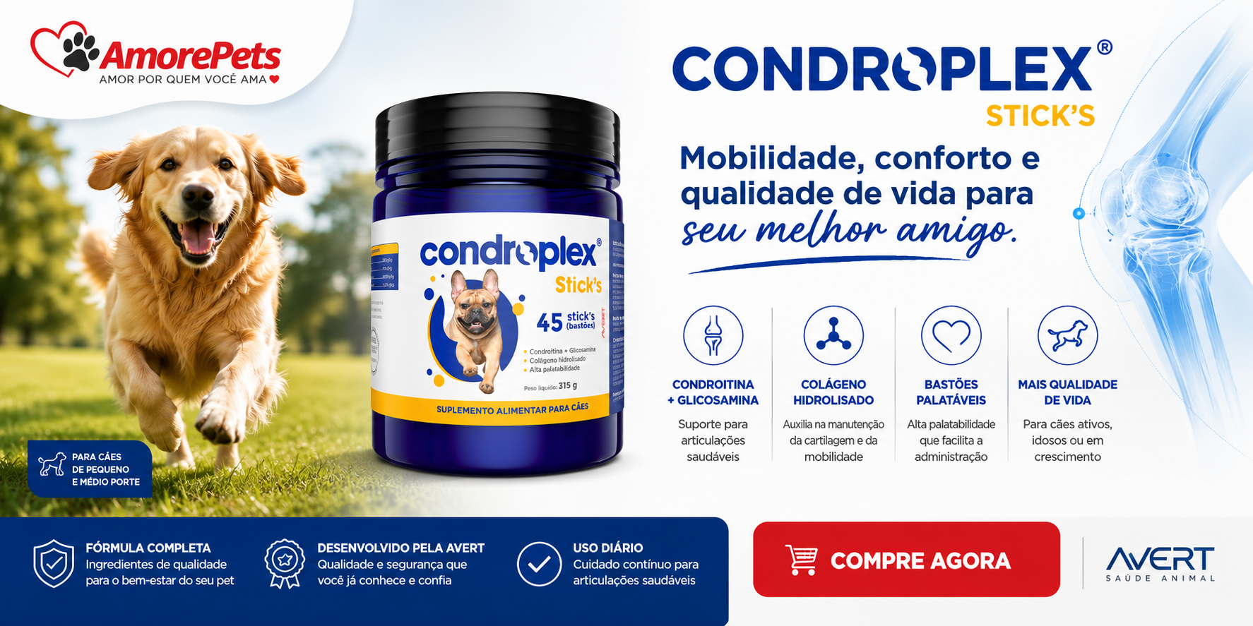Condroplex