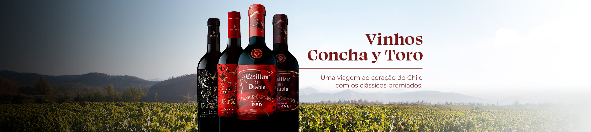 Full Banner Concha y Toro