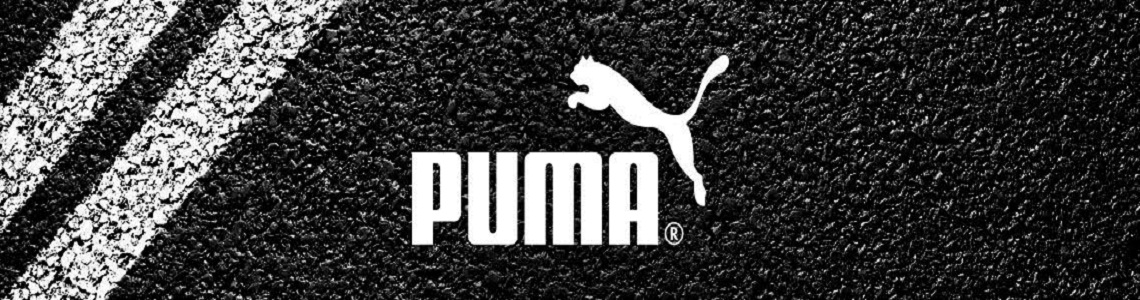 PUMA2