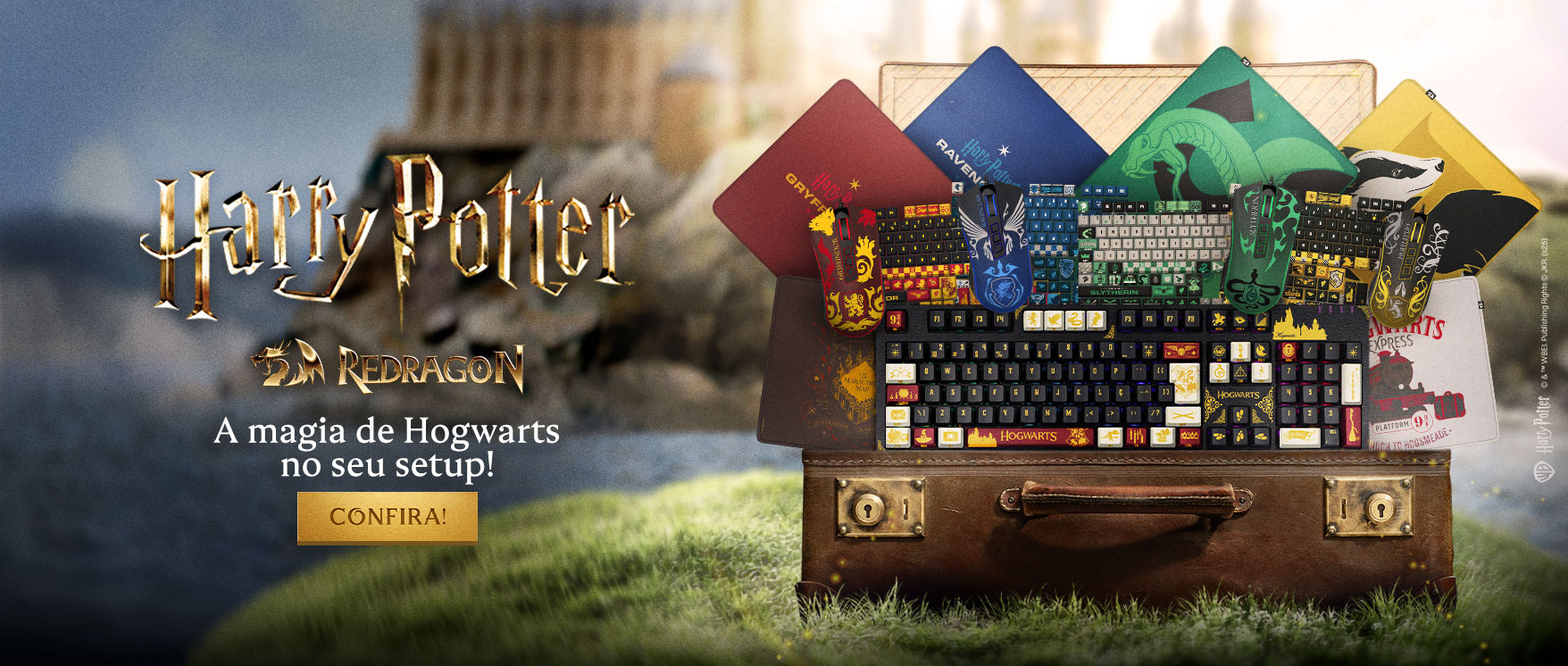 Harry Potter