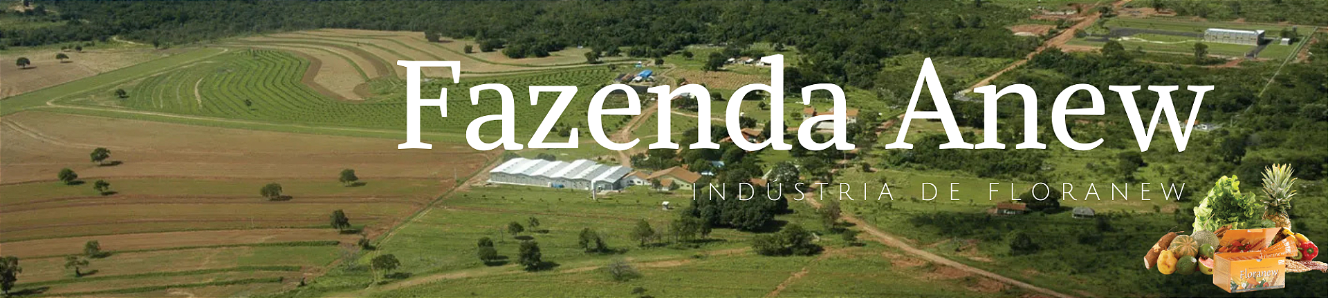 Banner fazenda Anew