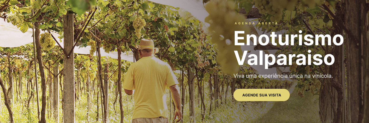 Enoturismo Home