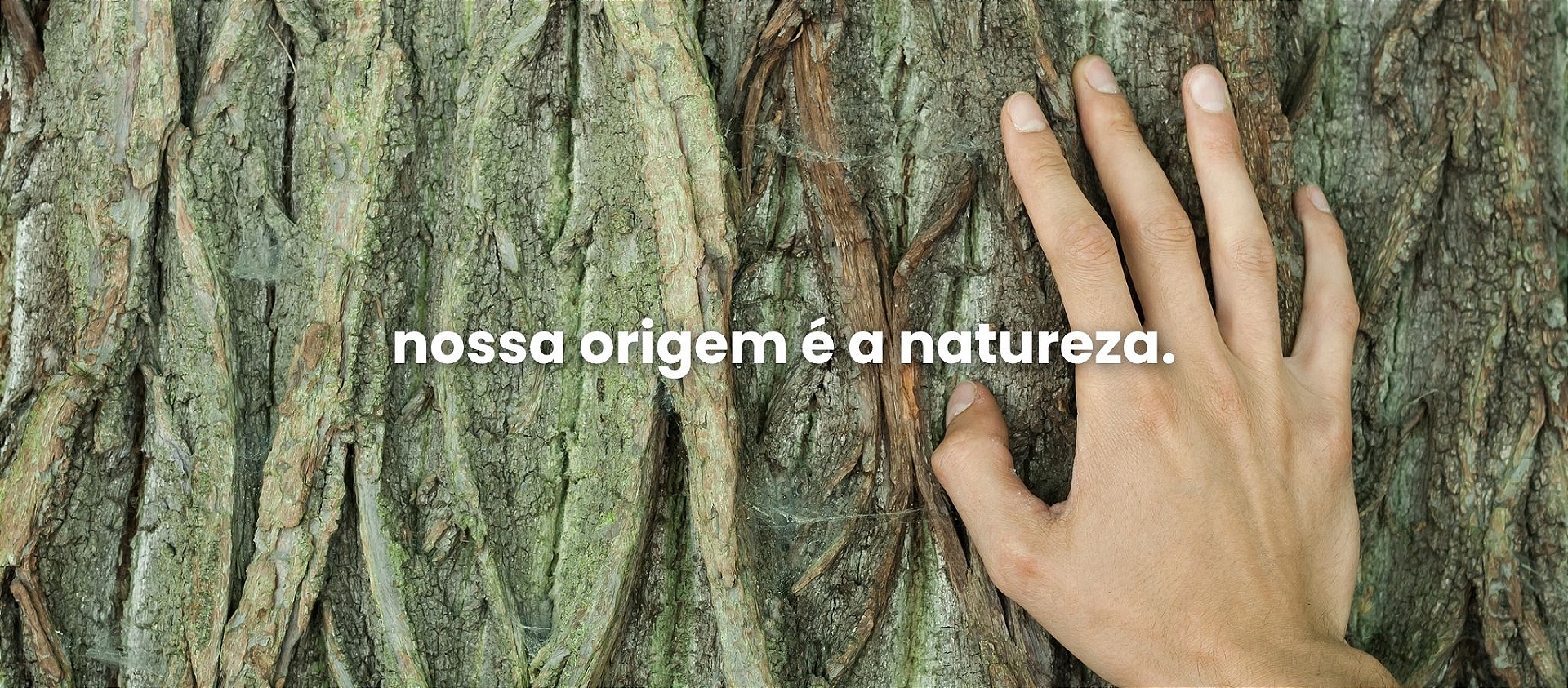 nossa origem é a natureza