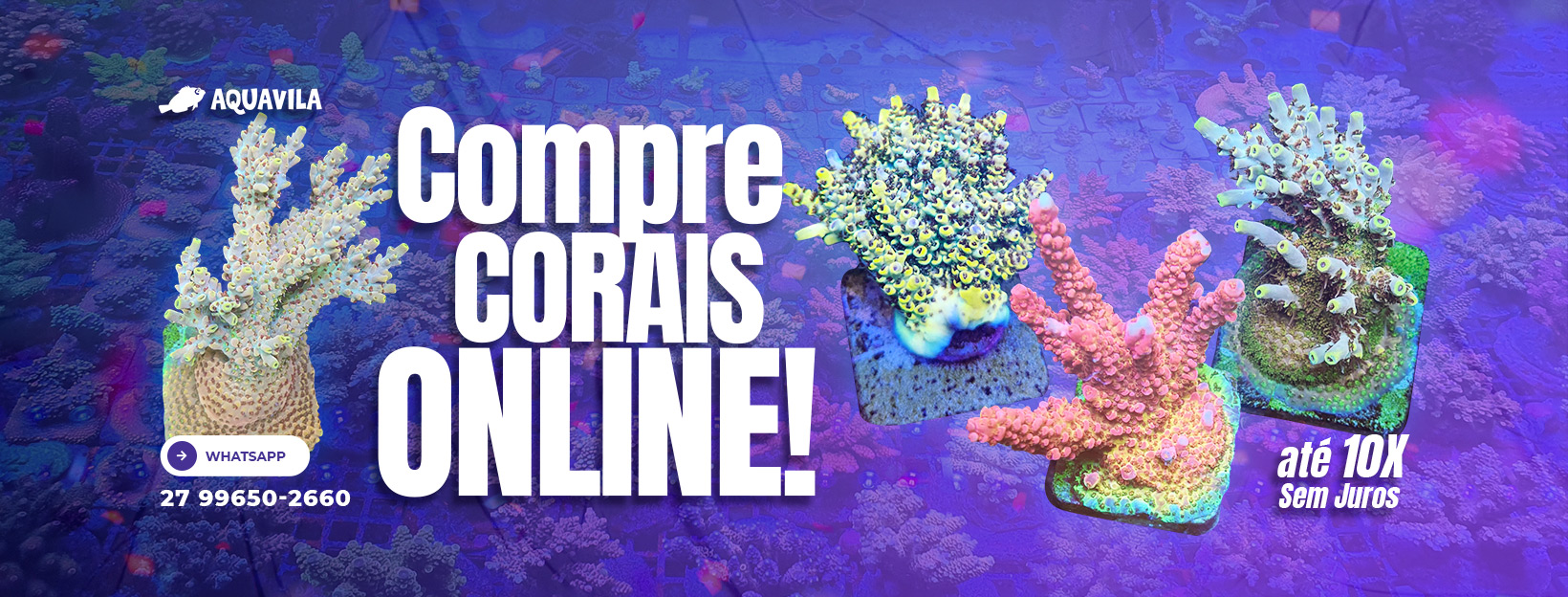 Compre corais online