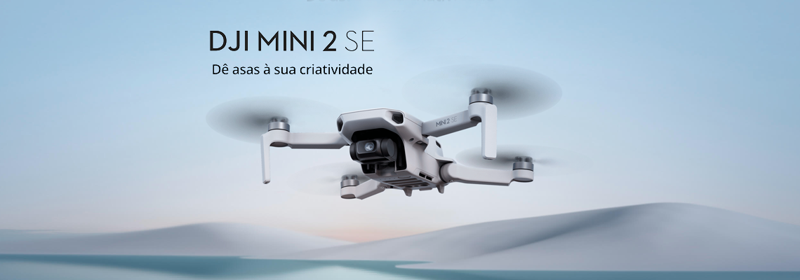 Mini 2 SE