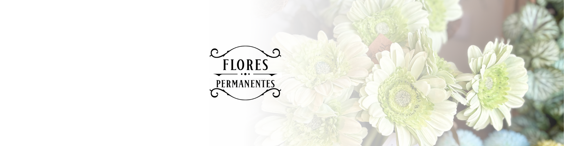 FLORES PERMANENTES