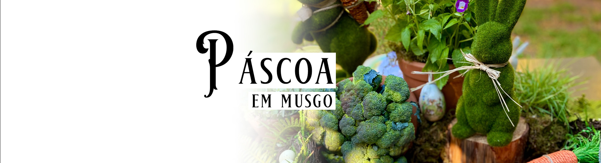 Páscoa em Musgo