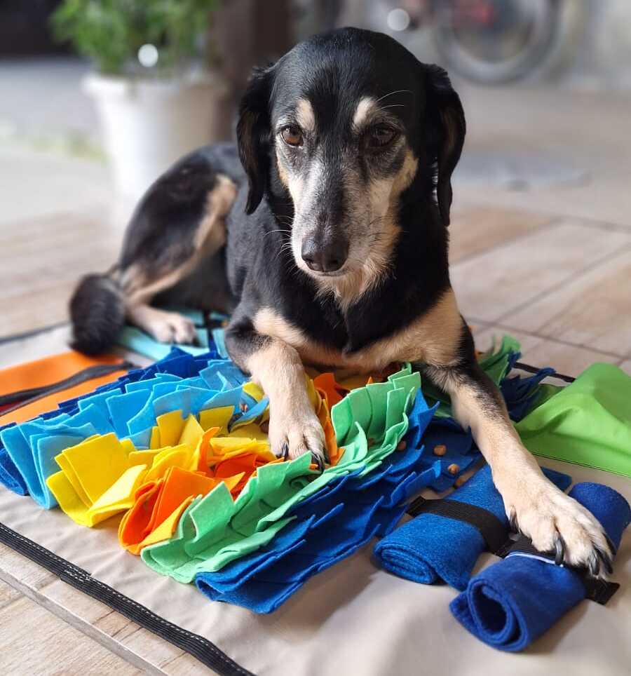 Jade