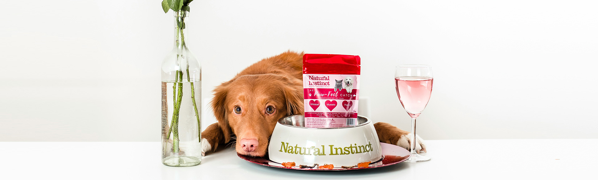 Banner Principal: 1920x1000